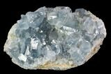 Sky Blue Celestine (Celestite) Crystal Cluster - Madagascar #96878-1